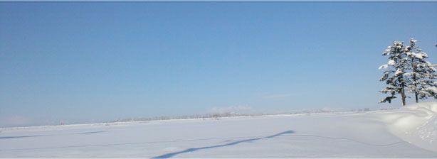 f0221648_12312299.jpg