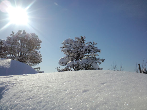 f0221648_12313825.jpg