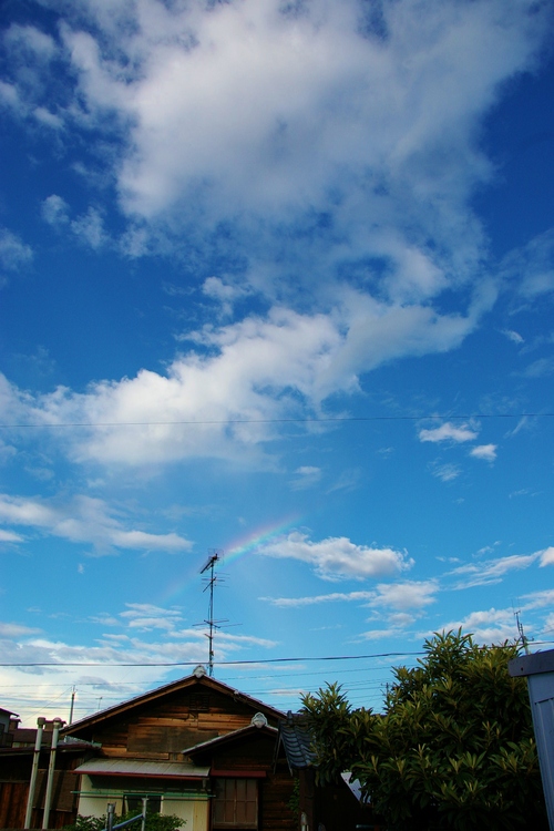a0299749_2348748.jpg