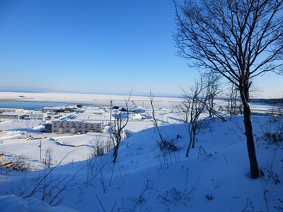 e0004756_17373988.jpg