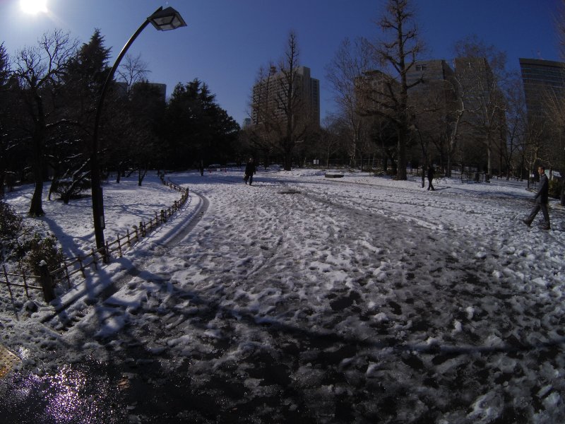 b0084270_0384942.jpg