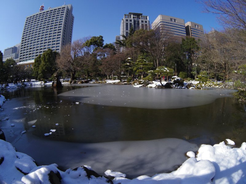 b0084270_039915.jpg
