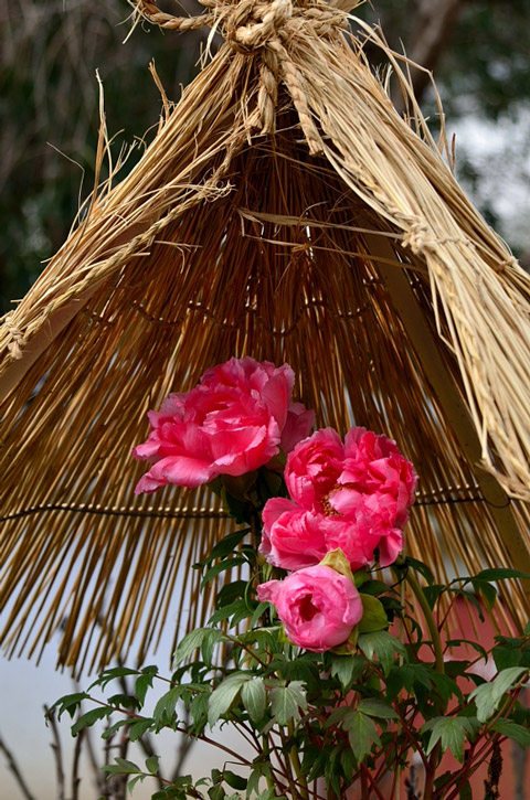 f0108478_21354023.jpg