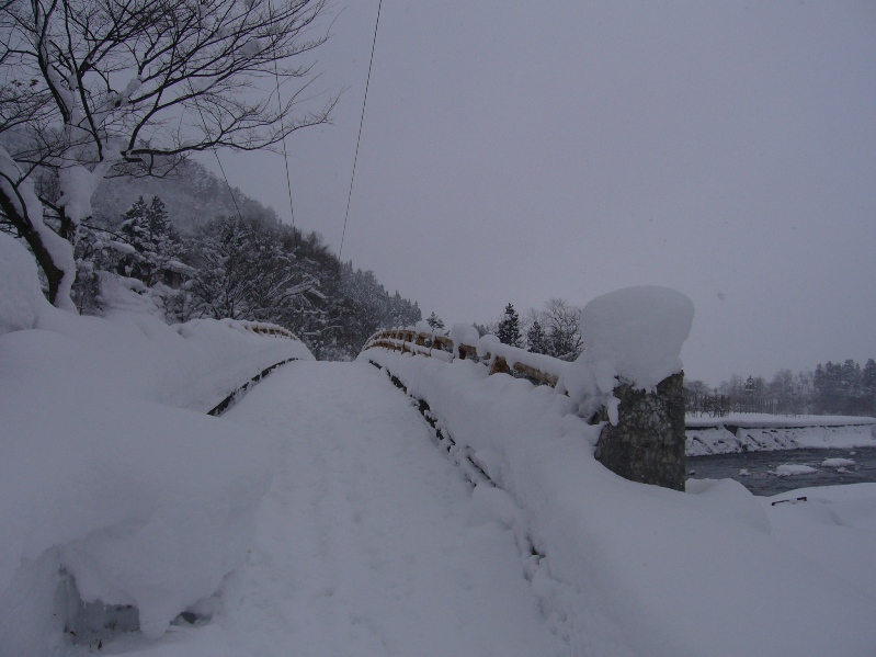 c0198781_2318343.jpg