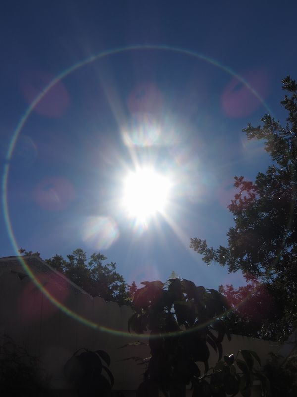 b0202185_5253696.jpg