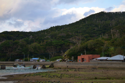 e0028387_22383623.jpg