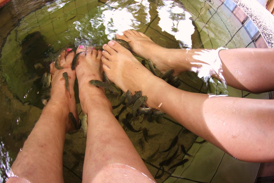 c0237588_12331222.jpg