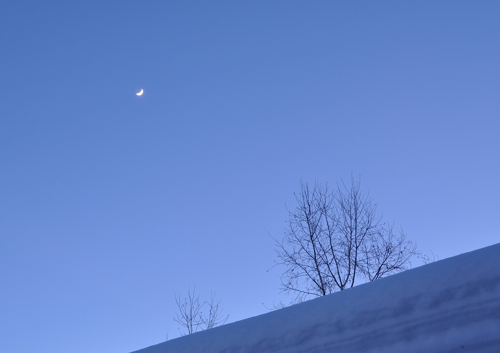 c0240388_10261646.jpg
