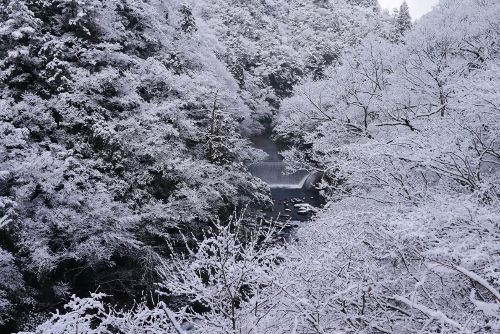 b0226089_205272.jpg