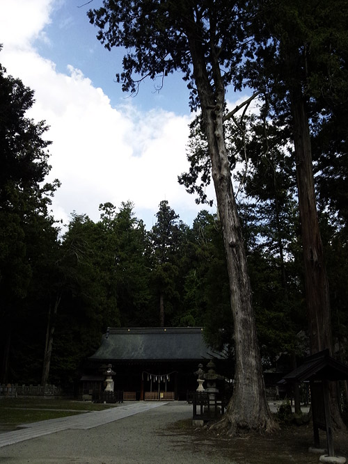 c0001491_17454924.jpg
