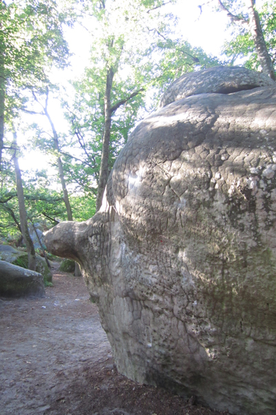 c0003493_13204975.jpg