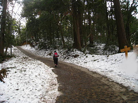 d0046702_1148386.jpg