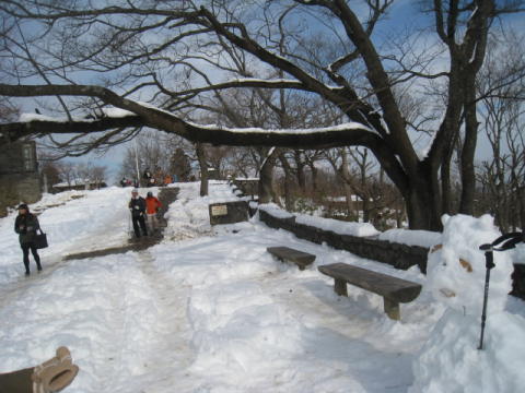 d0046702_1150810.jpg