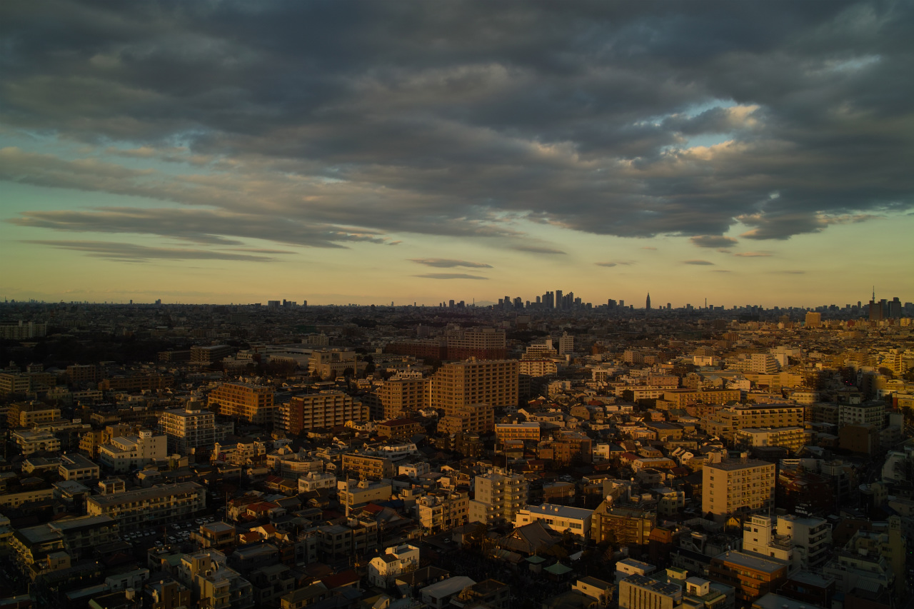 d0104210_150924.jpg