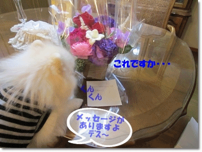 b0167519_1455231.gif