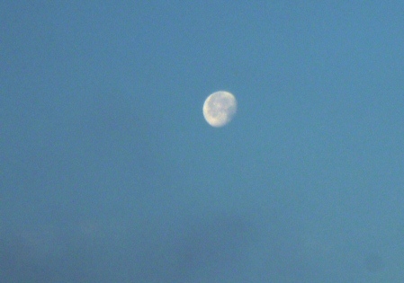 b0209919_22551678.jpg