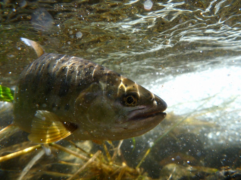d0091323_15565662.jpg