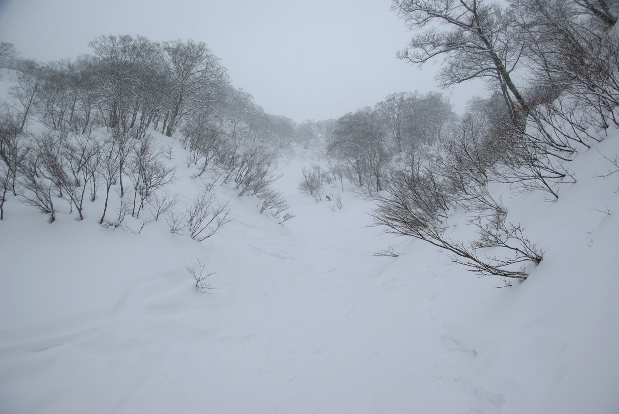 b0062024_10113032.jpg
