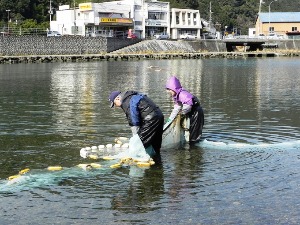 f0213825_9185828.jpg