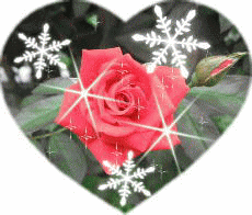 a0098027_14165656.gif