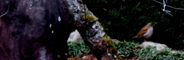 a0098027_15105210.jpg