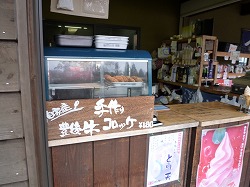 d0086228_1411717.jpg