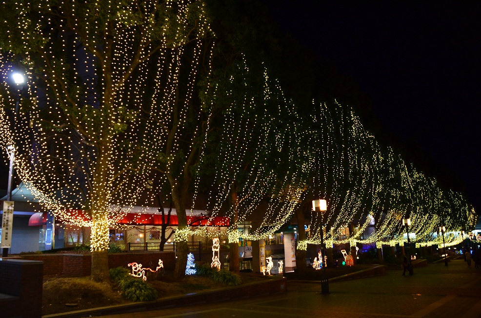f0124830_10522334.jpg