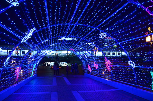 f0124830_1145732.jpg