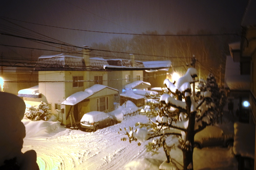 c0051132_2049743.jpg