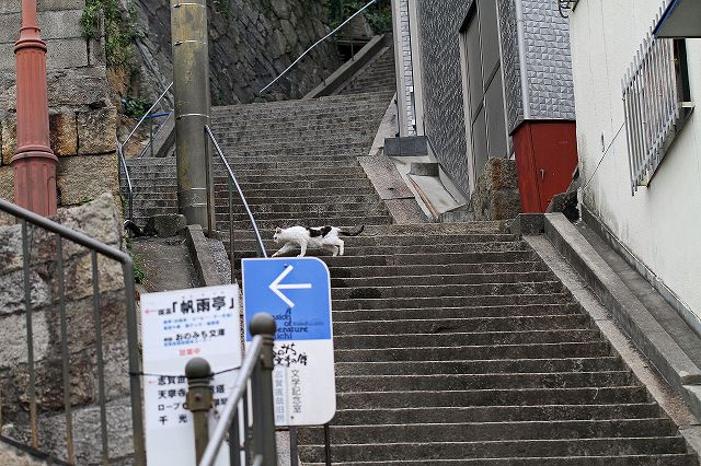 a0242438_19314151.jpg