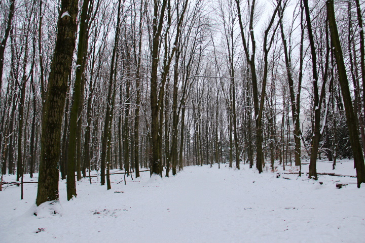 c0153740_3491969.jpg