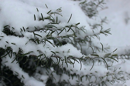 a0243143_18565917.jpg
