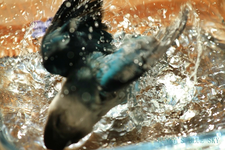 c0145250_10443824.jpg