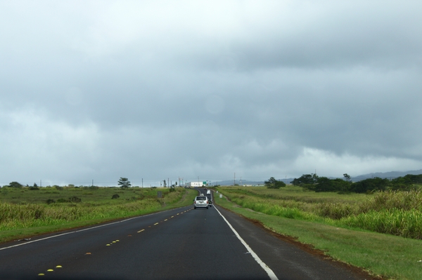 a0090451_1441560.jpg