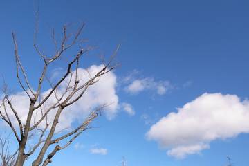 e0275660_1611838.jpg