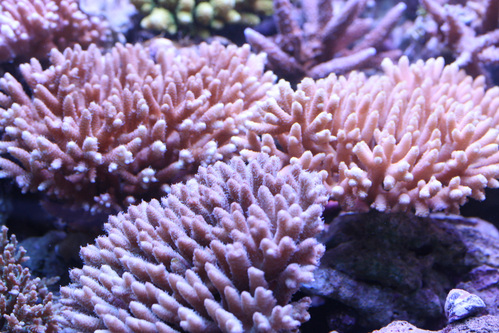 a0162261_2174339.jpg