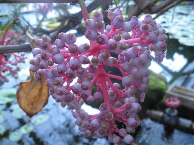 b0267163_100293.jpg