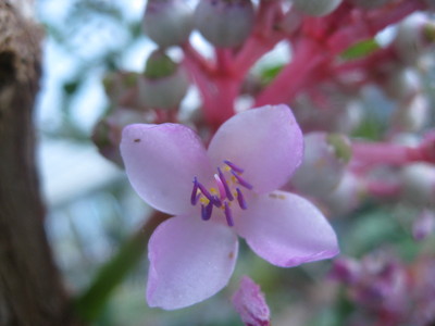 b0267163_9521777.jpg
