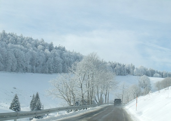 f0097363_22245535.jpg