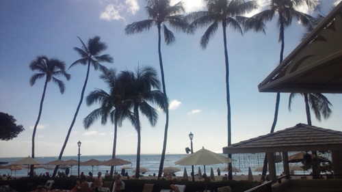 c0222474_1754456.jpg