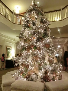 c0222474_175851.jpg