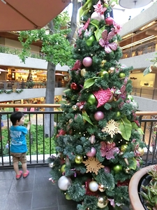 c0222474_1759401.jpg