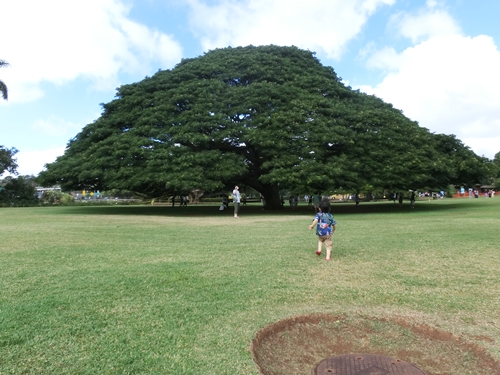 c0222474_18152610.jpg