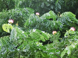 c0222474_18163181.jpg