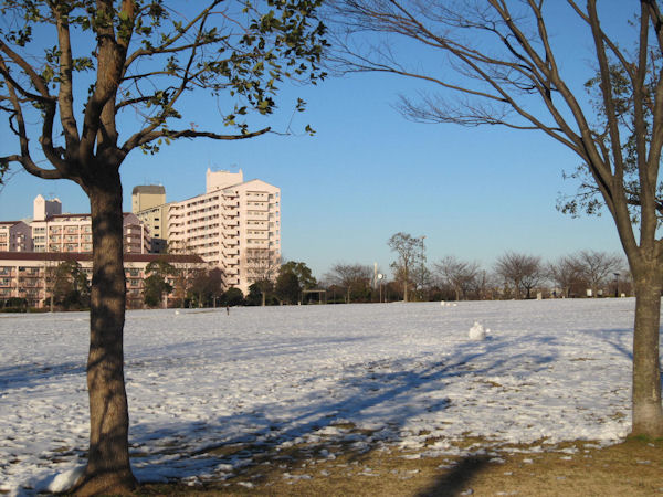 e0158775_23725100.jpg
