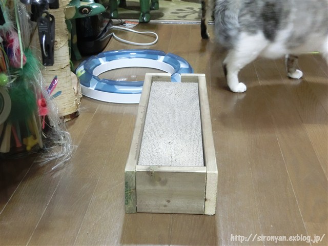 a0159490_1524444.jpg