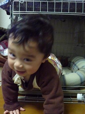 c0123890_2242545.jpg