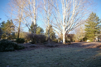 b0283192_658526.jpg