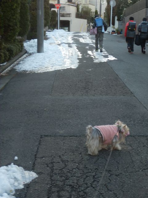 f0130894_19312396.jpg