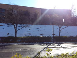 b0160300_22523970.jpg